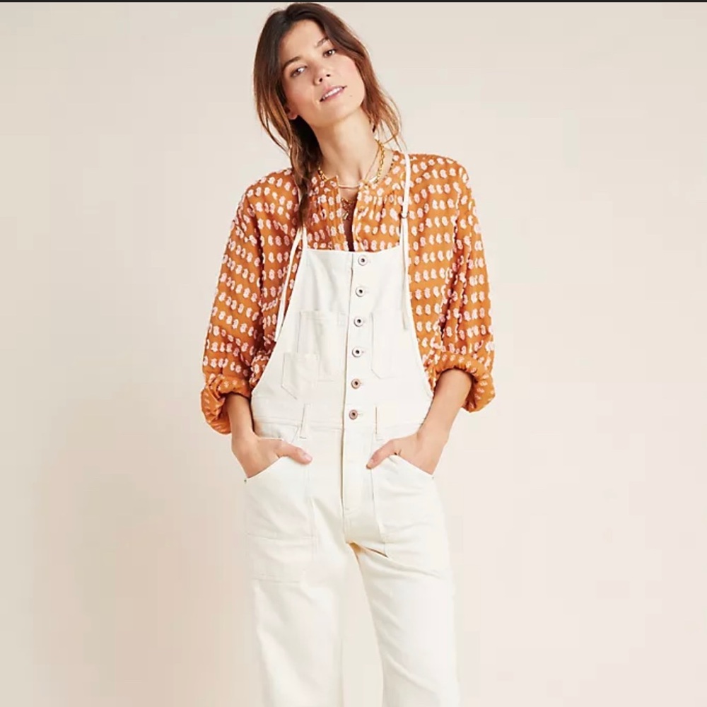 Pilcro Painter Overalls by Anthropologie 26